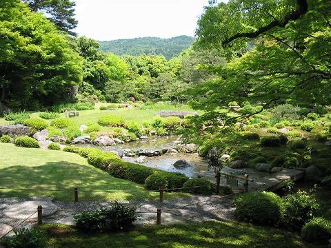 Tisztás egy japán kertben